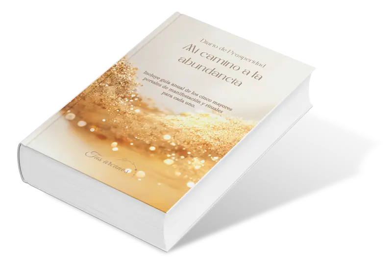libro de abundancia